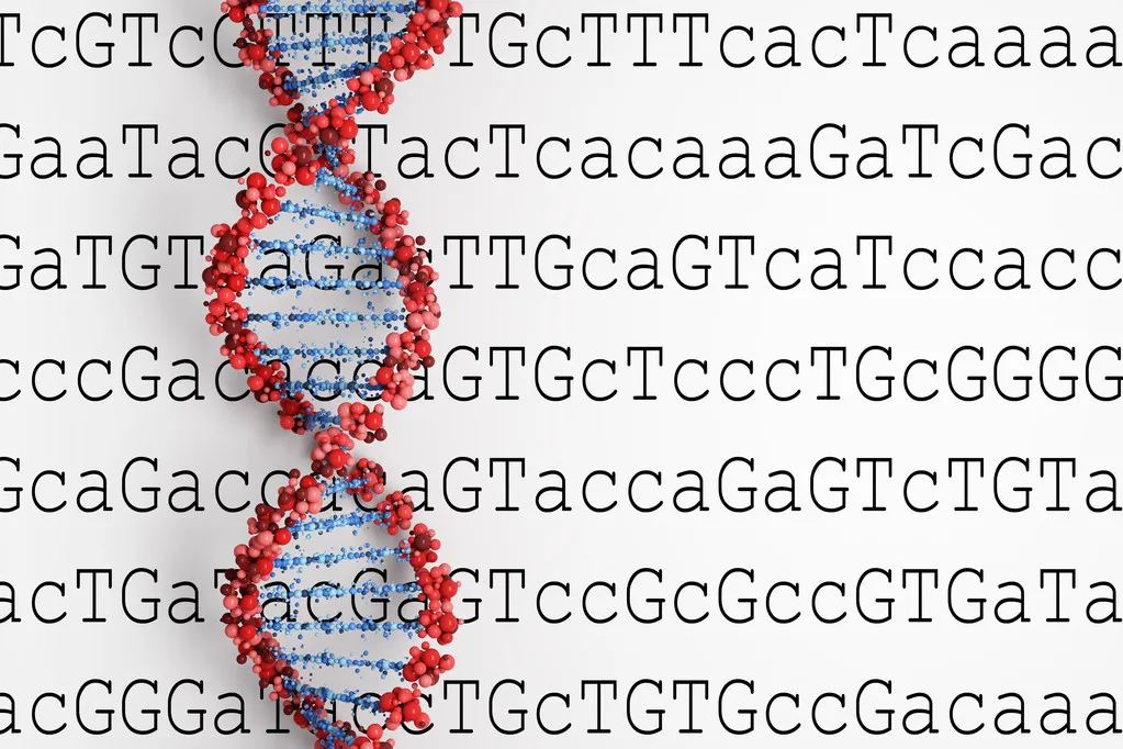 微生物16S扩增子测序分析