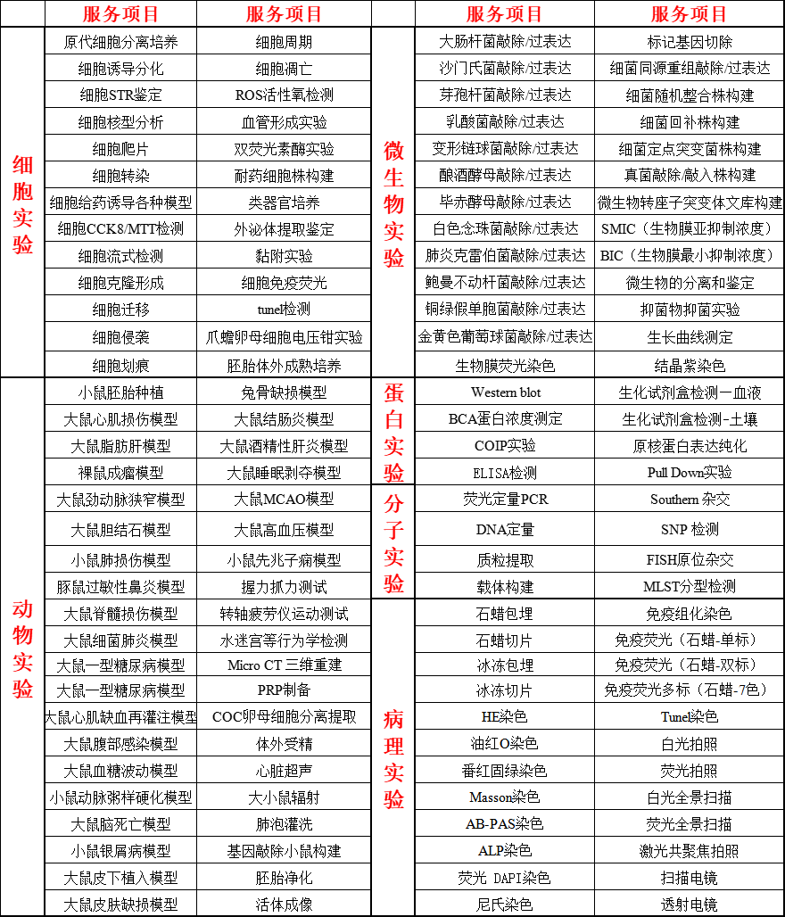 常规实验目录