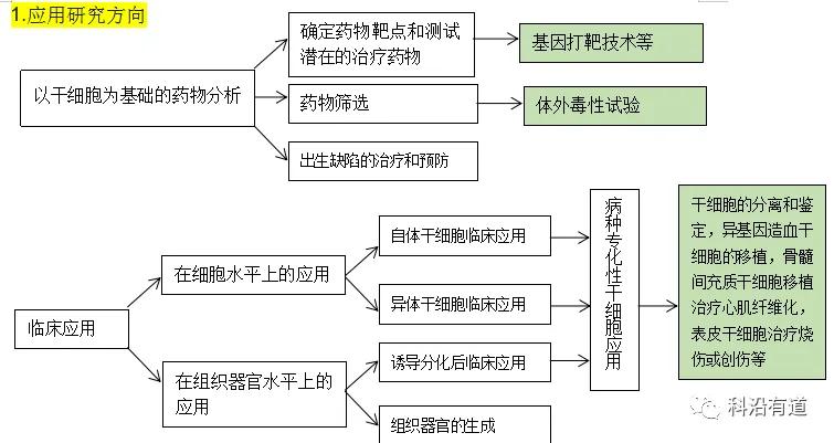 干细胞研究简介