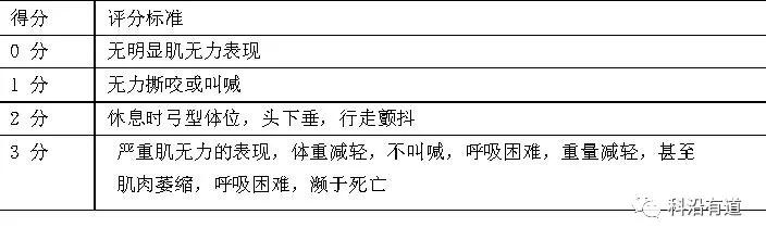 动物造模——大鼠肌炎模型SOP