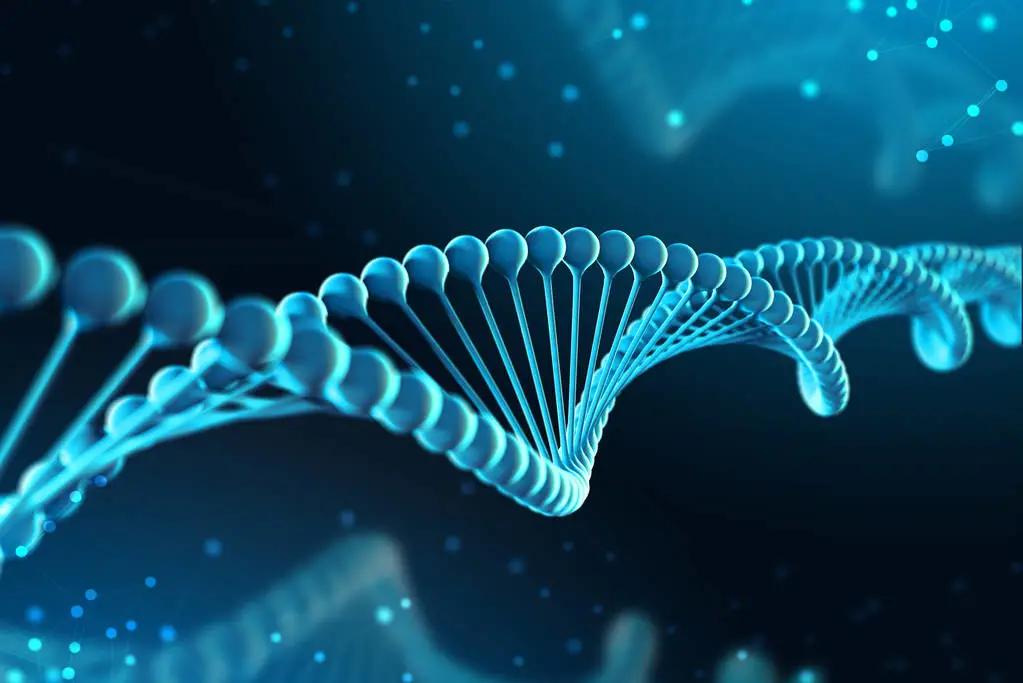 常见的miRNA研究方法总结