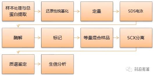 iTRAQ/ TMT技术服务