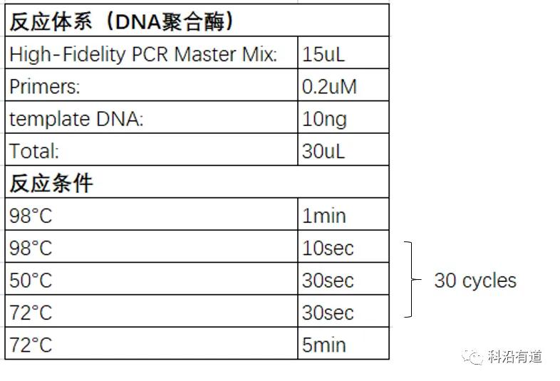 微生物16S扩增子测序分析
