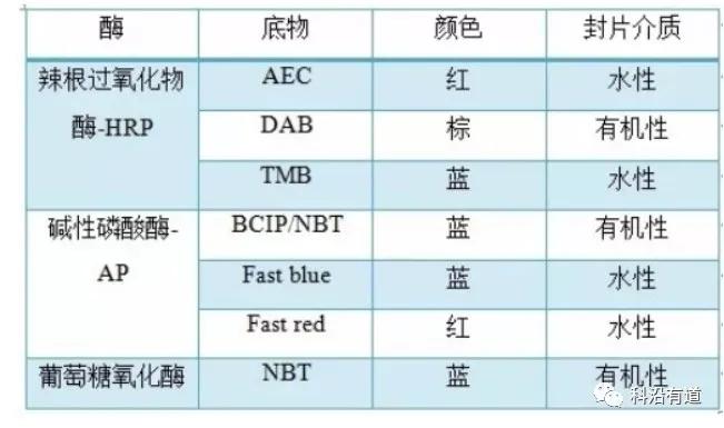 免疫组化IHC实验步骤