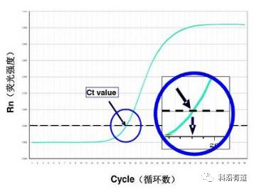 荧光定量PCR技术简介
