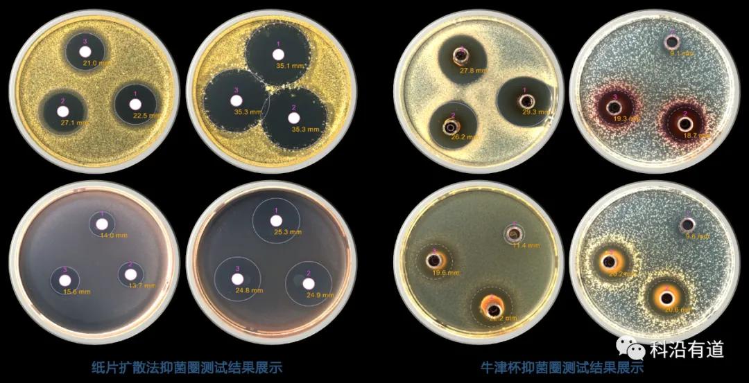 药物类抑菌实验