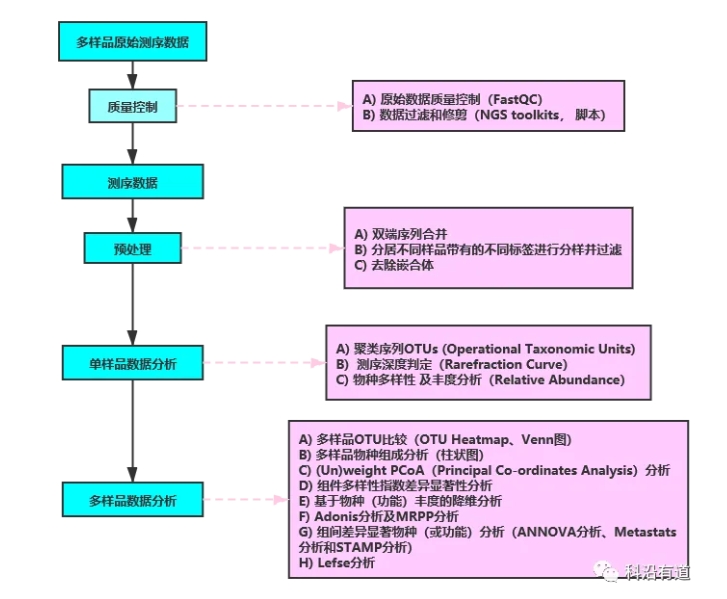 微生物16S扩增子测序分析